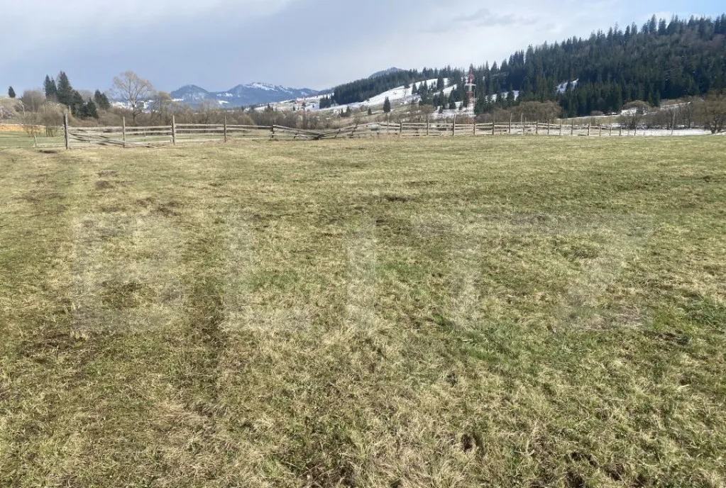Casa lemn masiv acoperita recent 5anexe teren peste 15000mp Cosna