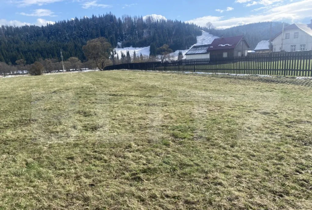 Casa lemn masiv acoperita recent 5anexe teren peste 15000mp Cosna