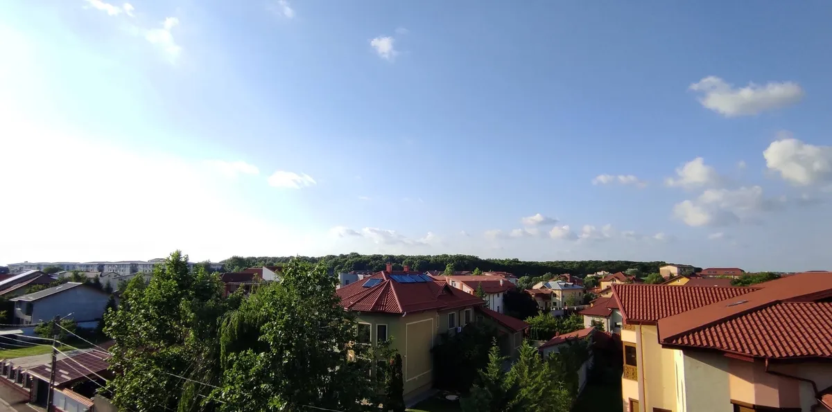 Rosu Crinului Randunica