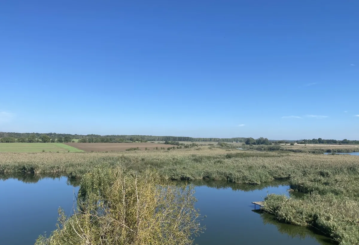 Gradistea Caldarusani teren cu deschidere la lac