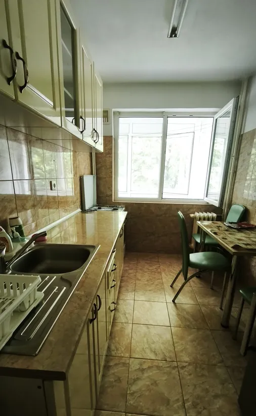 Berceni Emil Racovita stradal