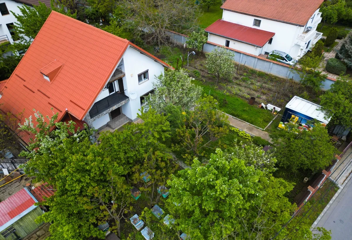Mogosoaia vanzare vila
