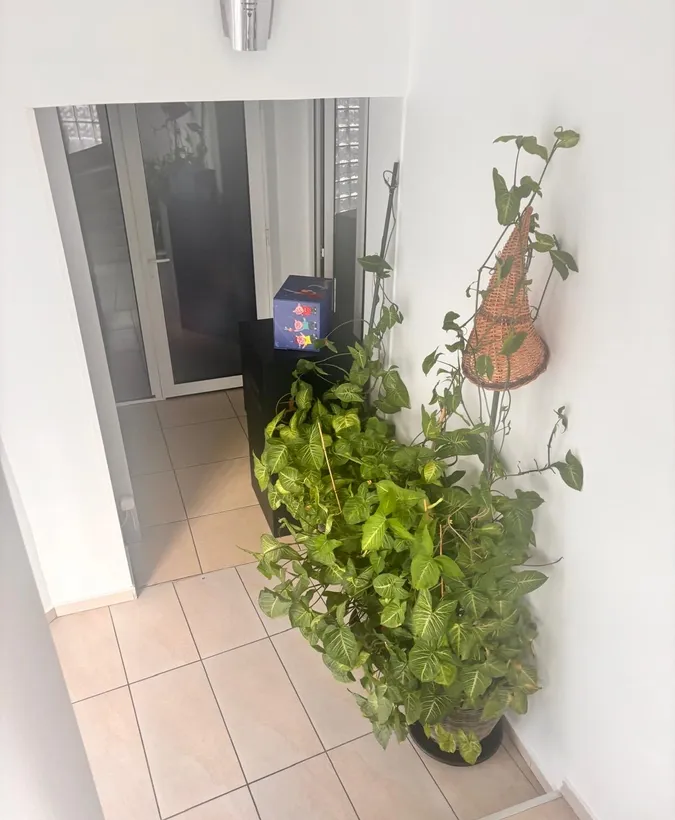 Antiaeriana casa de vanzare 6 camere potential business notariat/clinica