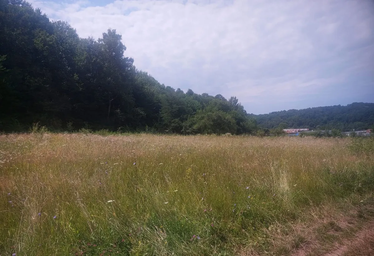Draganu Arges