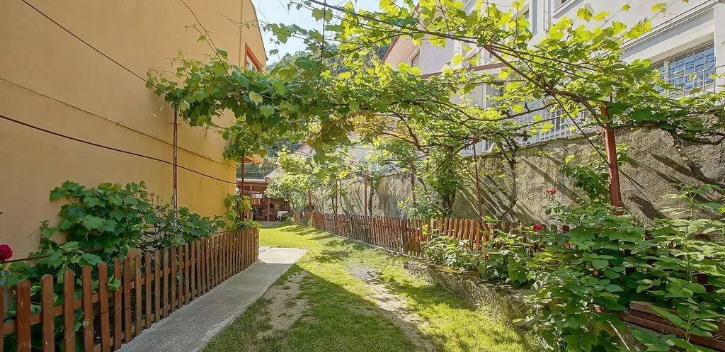 Proprietate rara in centrul Rasnovului cu spatiu co