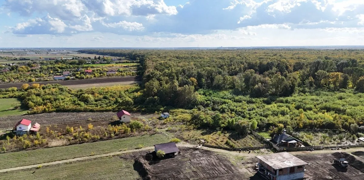Cocani Refugiu la marginea padurii 1000 mp de liniste