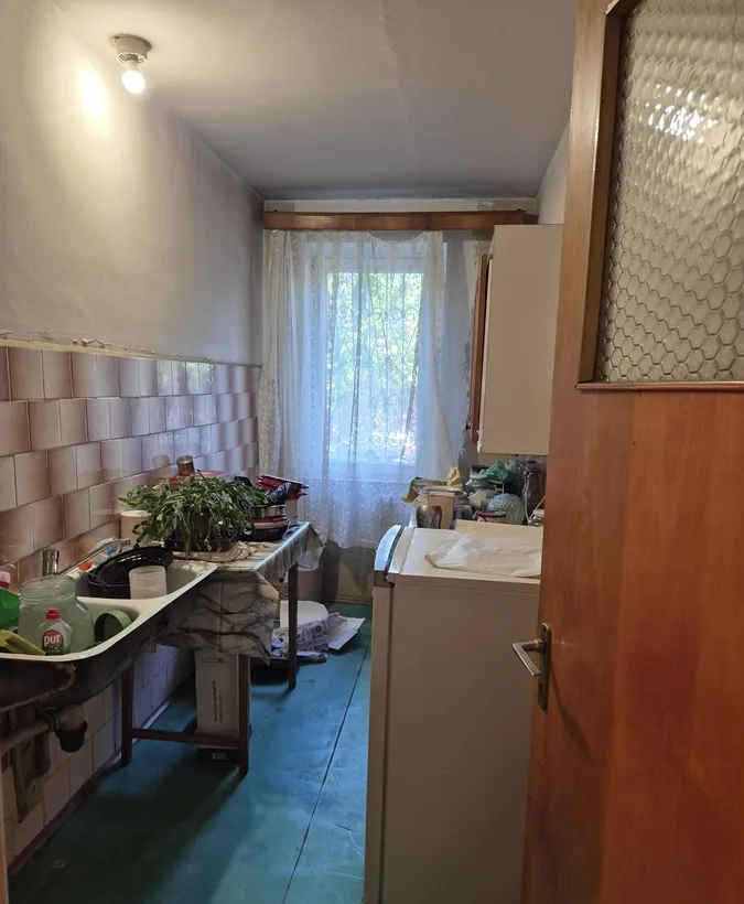 Colentina Teiul Doamnei