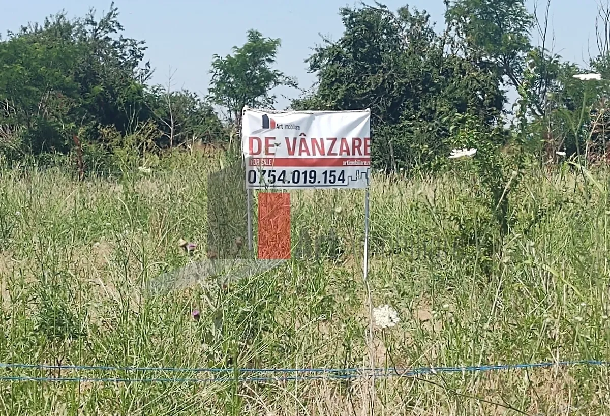 Vanzare 2 loturi de casa Dobreni Giurgiu