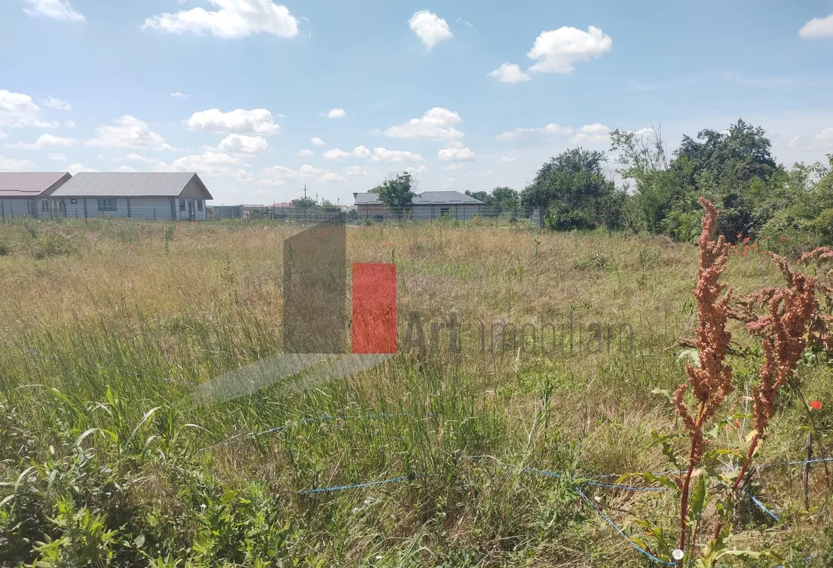 Dobreni Giurgiu vanzare 2 loturi de casa