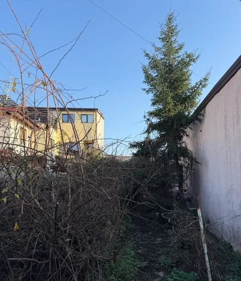 Chitila Sector 1 casa