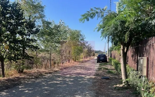 Teren Cornetu Strada Magnoliei Pinului