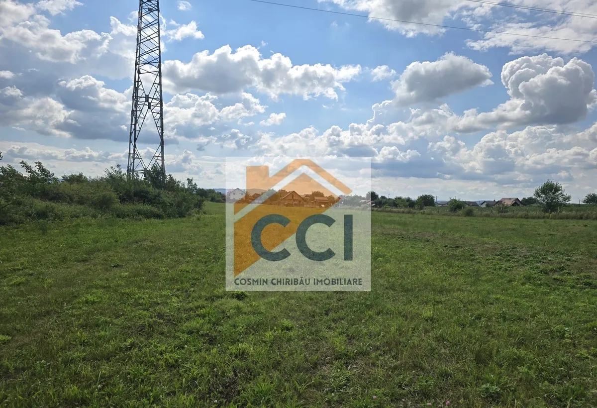 Parcele de teren pentru case str Leon Sakellary