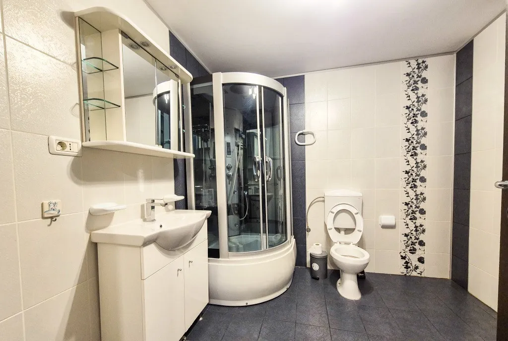 Casa P M Colibasi Mioveni Arges