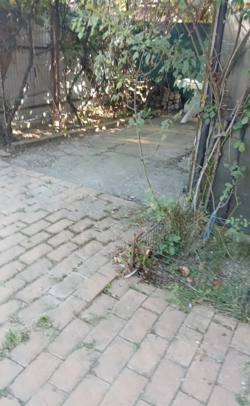 Bragadiru Ilfov