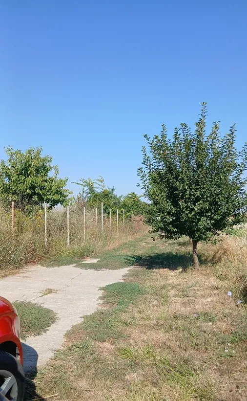 Comuna Domnesti Ilfov