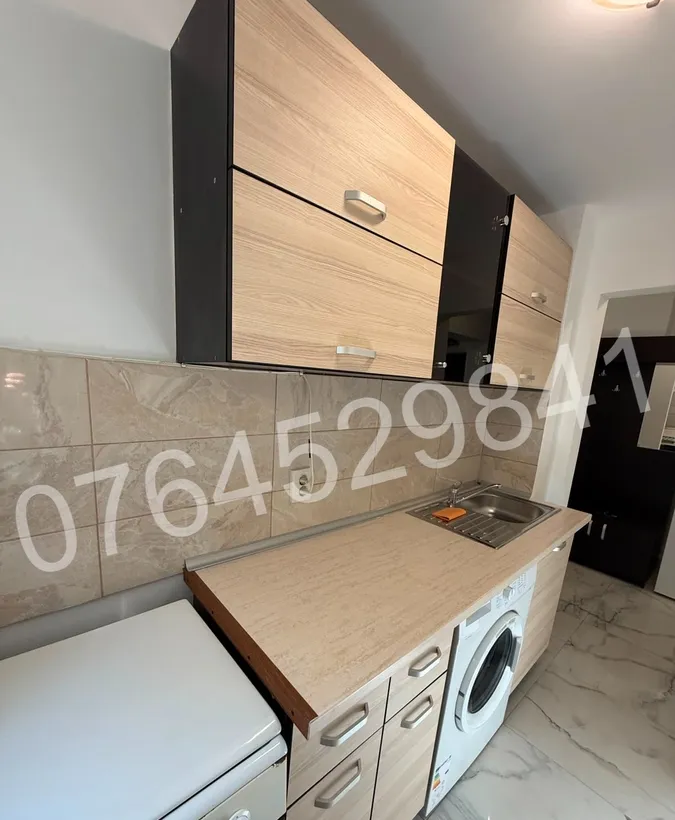 Colentina Teiul Doamnei 3 min rond Doamna Ghica Str Ripiceni 4