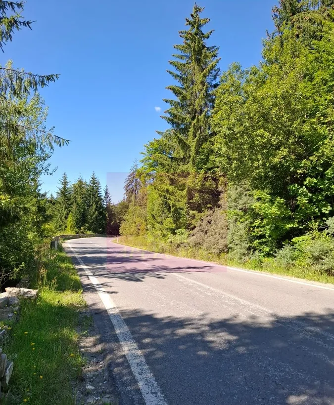 Teren de vanzare in zona Cota 1000 - Sinaia