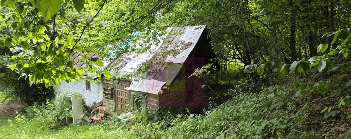 Teren de vanzare 15 000 mp in Telega