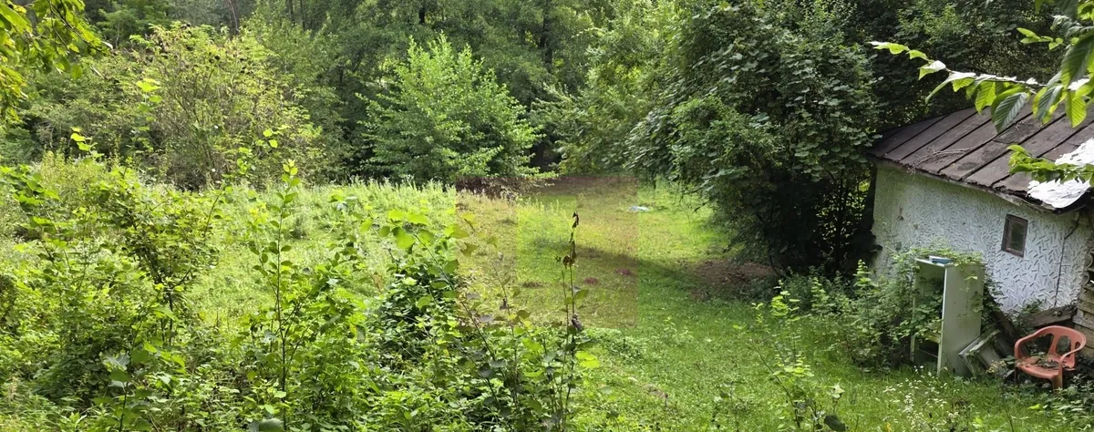 Teren de vanzare 15 000 mp in Telega