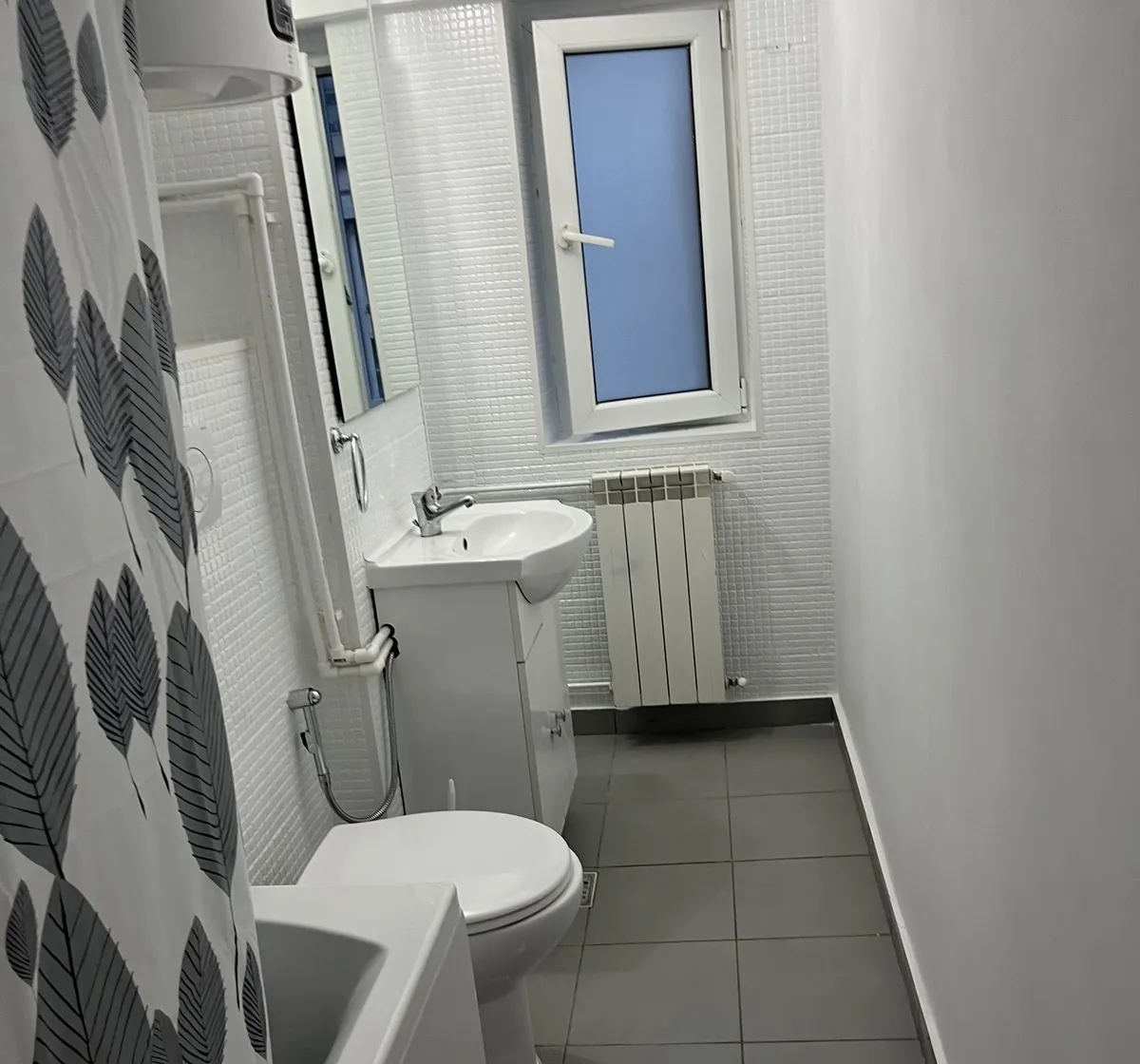 Decebal nr 1 langa Sanador