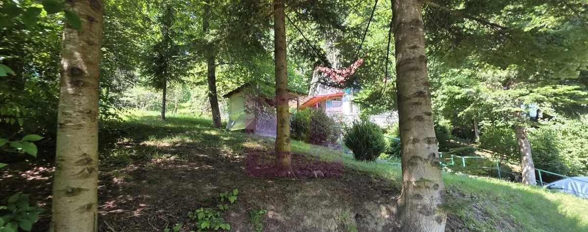Teren intravilan 979 mp Sinaia Furnica