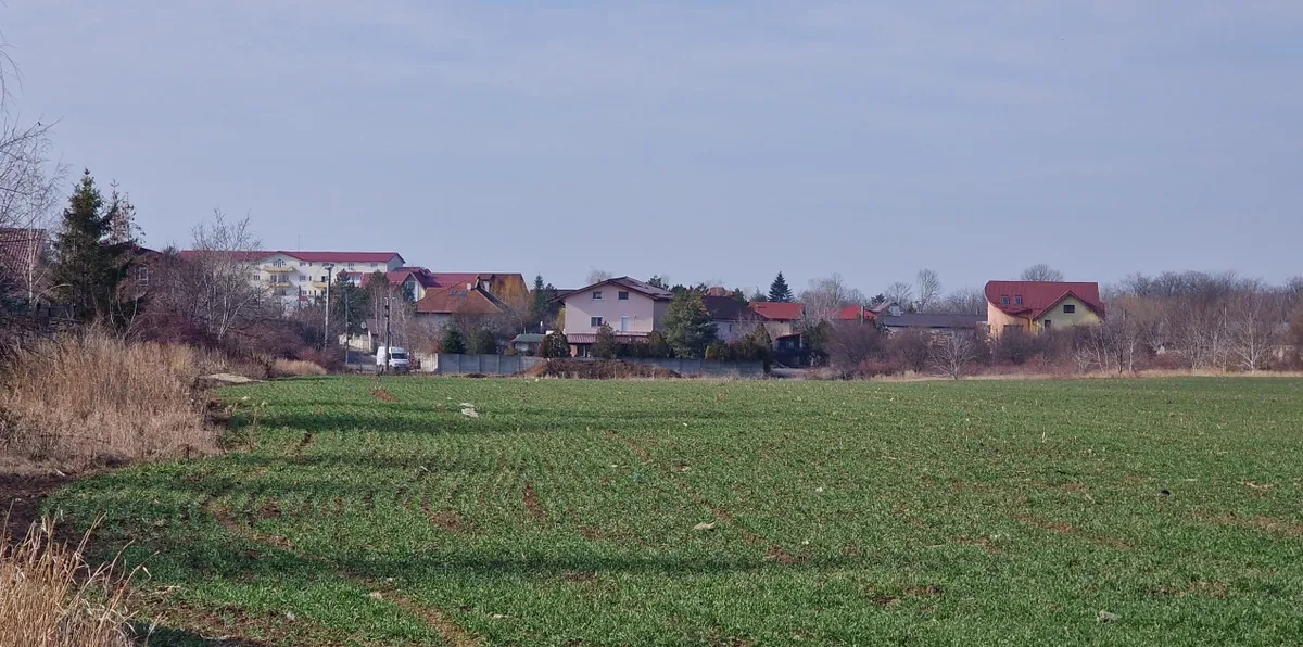 Teren- 3778 mp Balotesti Morarilor Langa case si utilitati