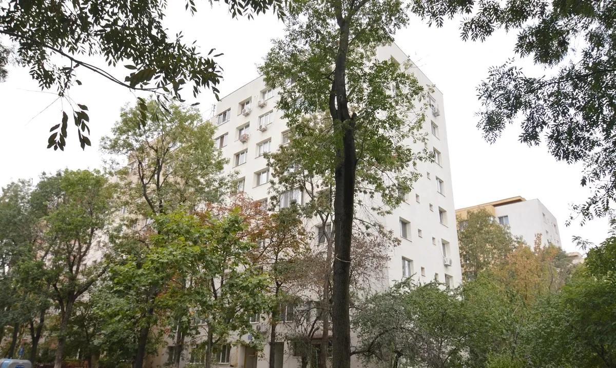 Theodor Pallady Str Mizil