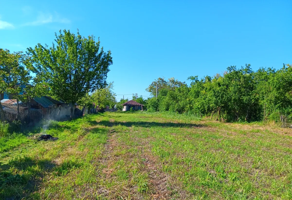 Mereni de Sus Teleorman Teren intravilan 700 mp la 55km de Bucuresti