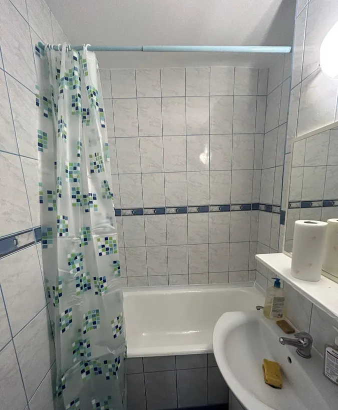 Tei Lacul Tei Facultatea de Constructi etj 2