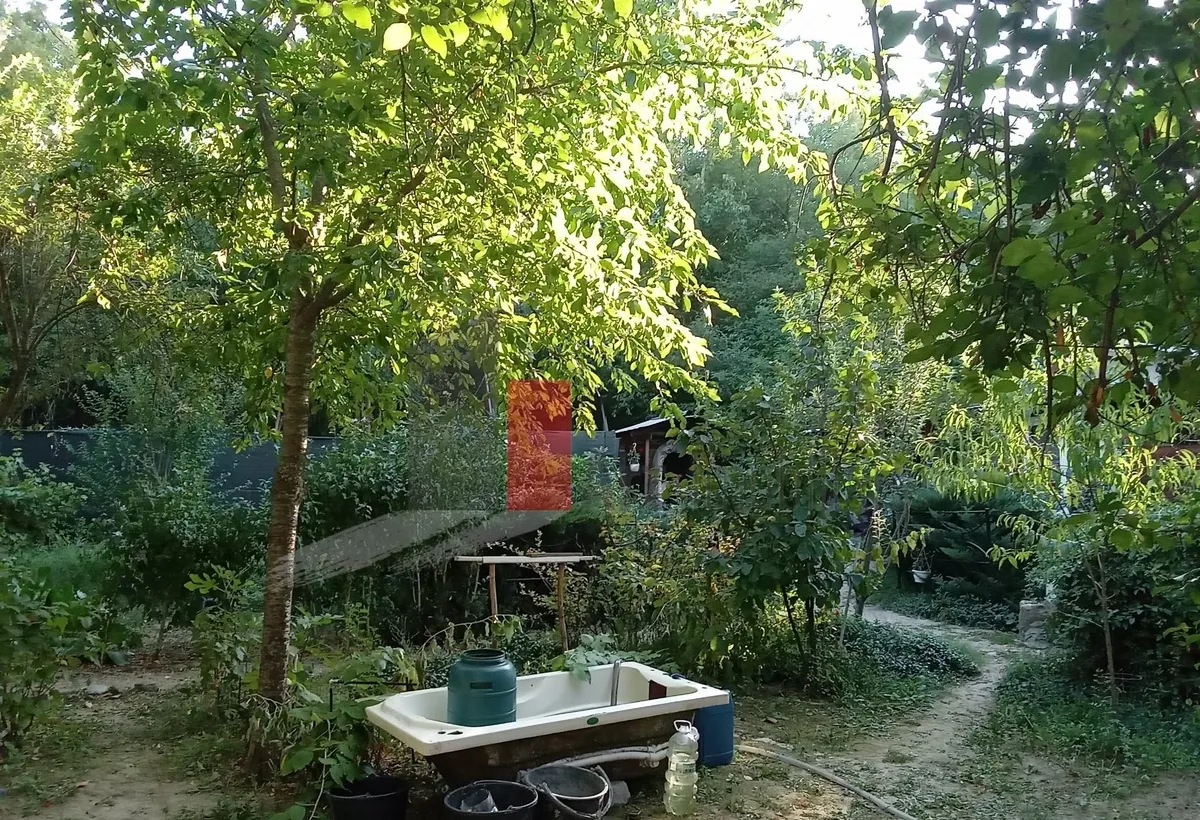 Darasti Vlasca Vanzare teren intravilan
