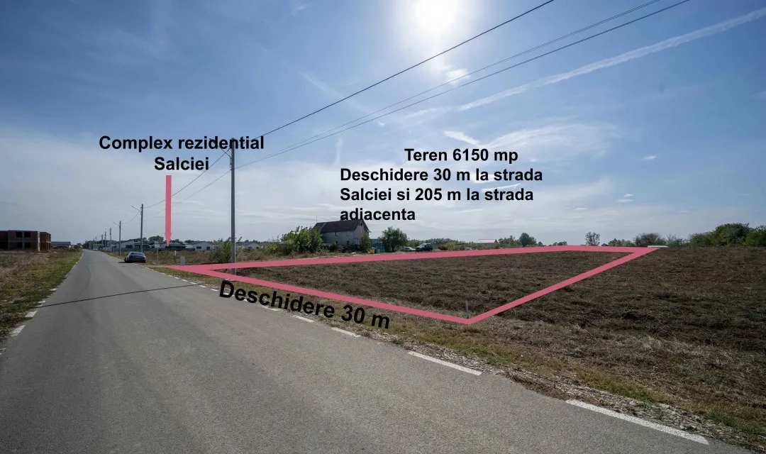 Domnesti Salciei Haltei Ciocarliei teren 6 000 mp drum asfaltat cu utilitati